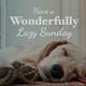Illustration for article titled Happy Sunday! (AM OT)
